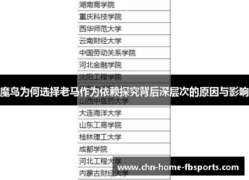 魔鸟为何选择老马作为依赖探究背后深层次的原因与影响